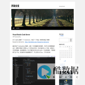 开发分支 | Develop Branch