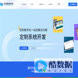 定制系统开发