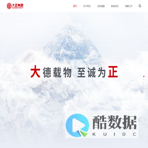 大型投资管理型公司-大正集团
