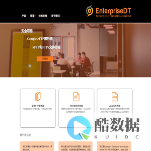 EnterpriseDT中文官方网站