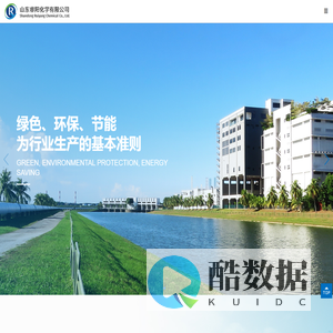 山东睿阳化学有限公司