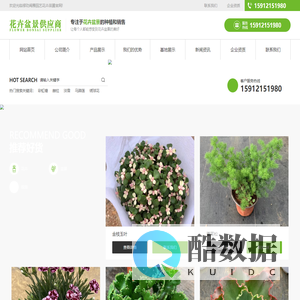 花卉盆景供应商