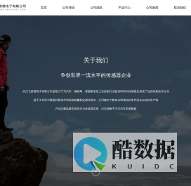 飞恩微电子有限公司