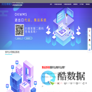 集运系统