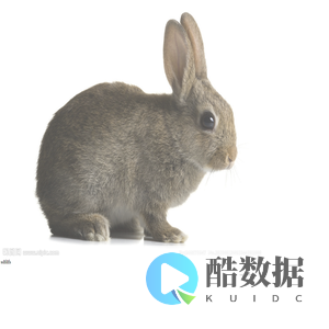 佳佳信息网,生活的好帮手
