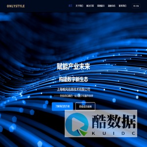 ONLYSTYLE - 数字化转型专家
