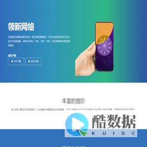 领新网络