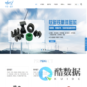 广州市通洋电子有限公司