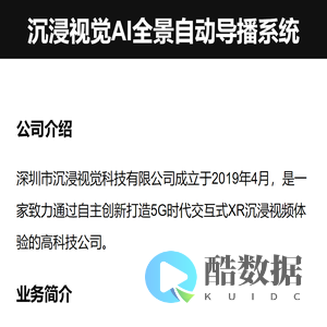 沉浸视觉